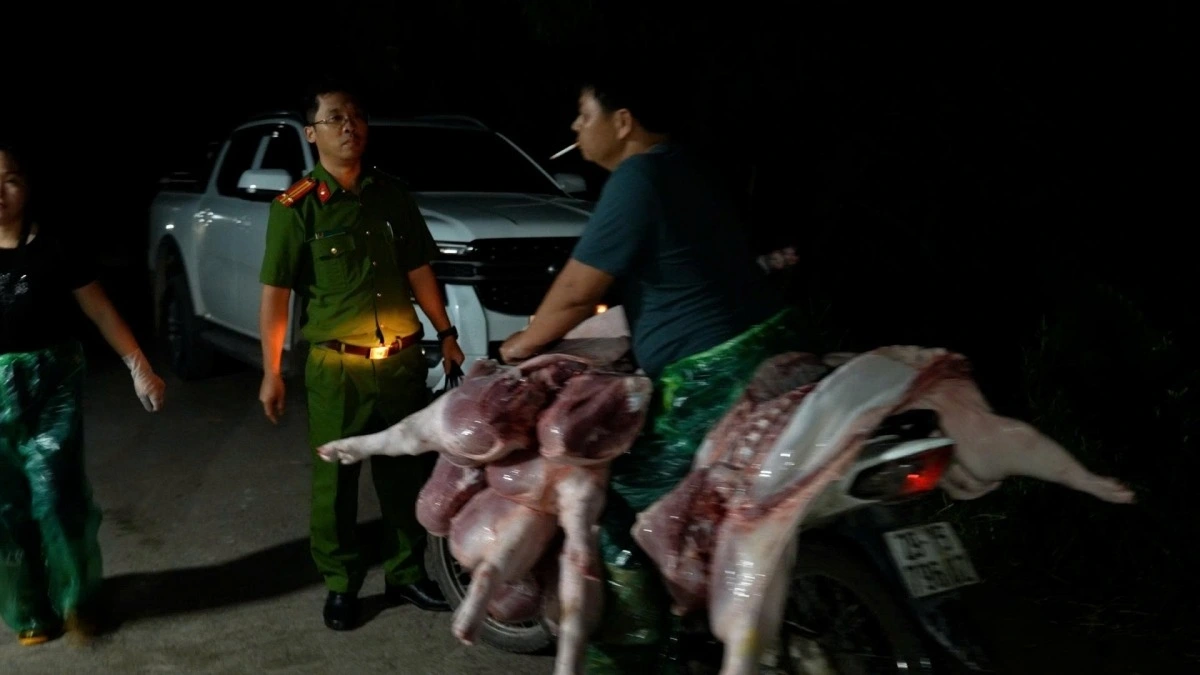 Duong day giet mo, tieu thu lon benh tai ha noi nhung doi tuong nao se bi xu ly hinh anh 1