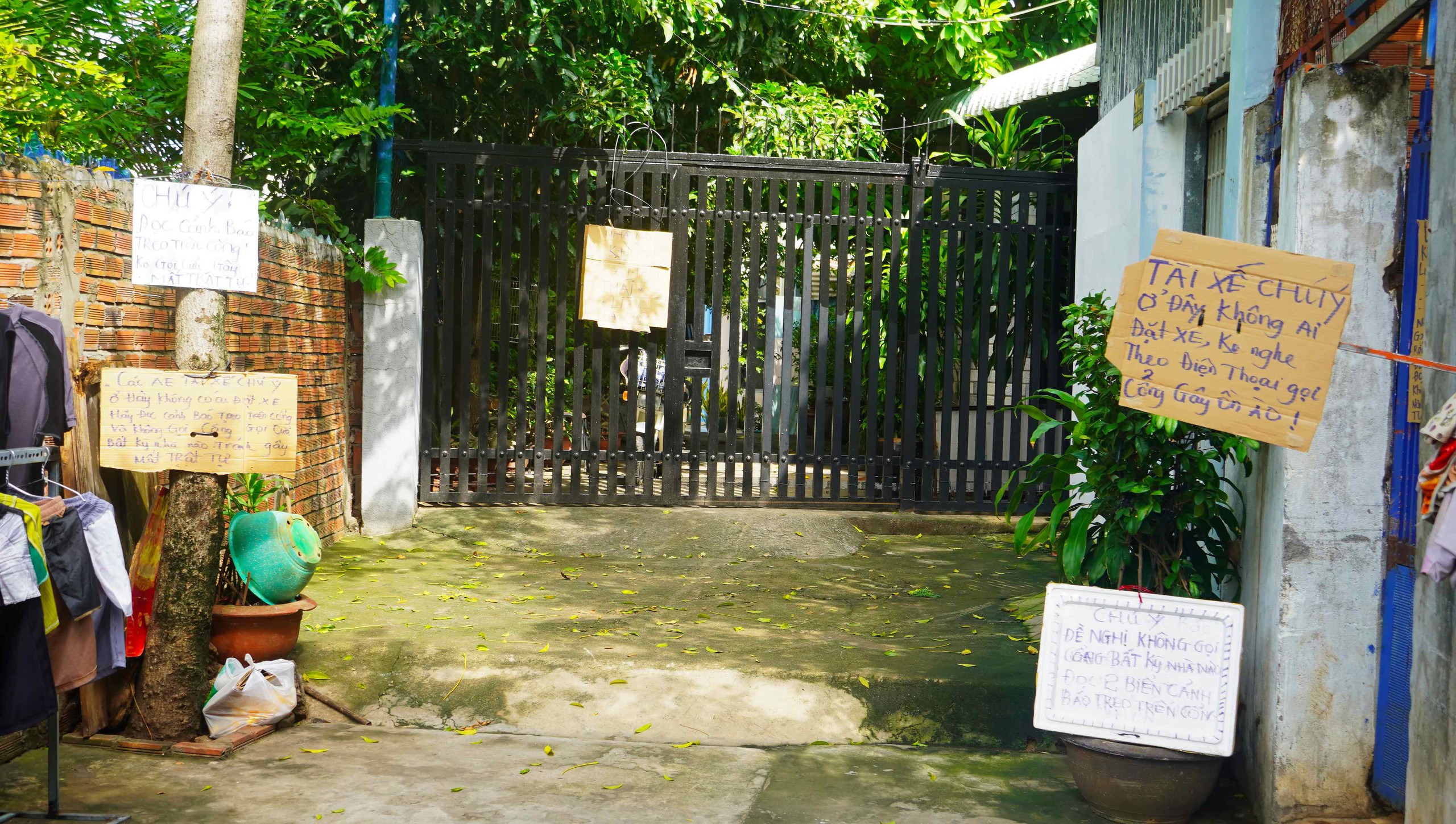 Lạ lùng