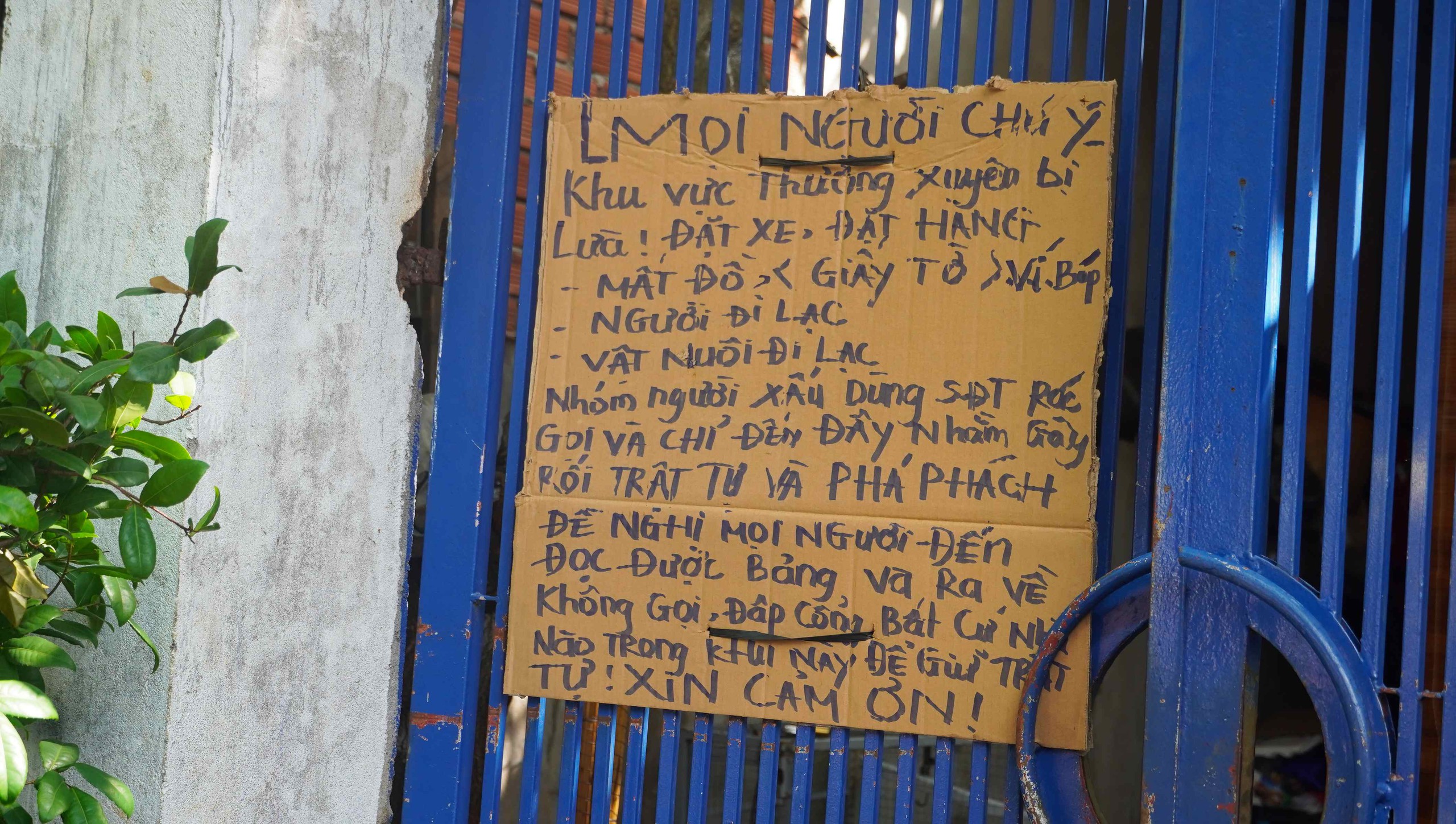 Lạ lùng