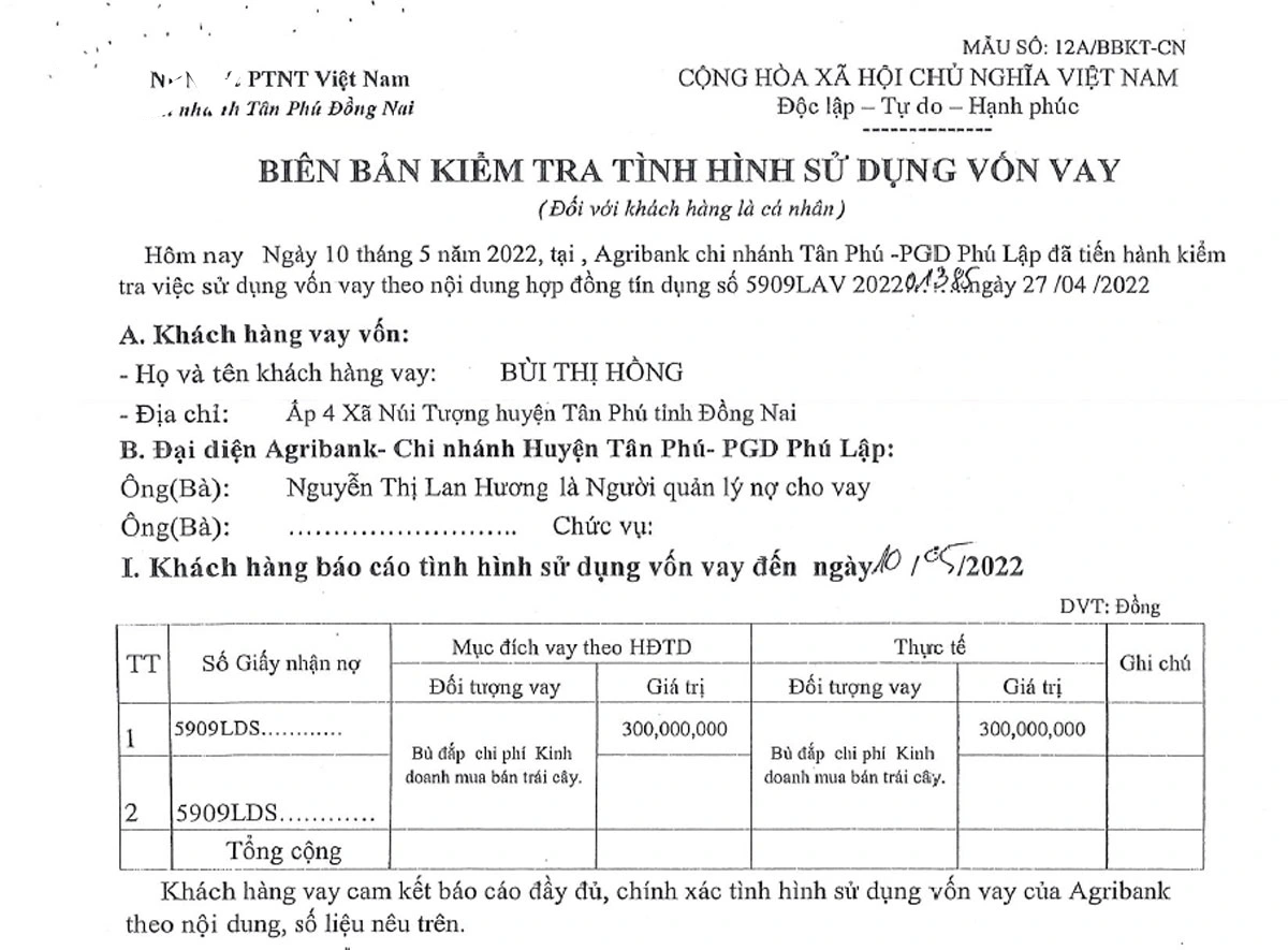 nu nhan vien ngan hang o Dong nai keu oan trong vu an lua dao hon 6,1 ty dong hinh anh 3