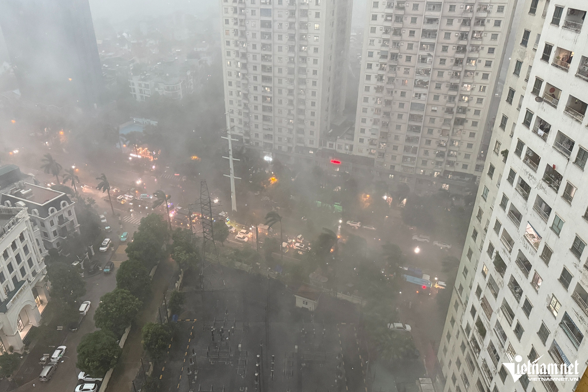 W-mau giong 3.jpg