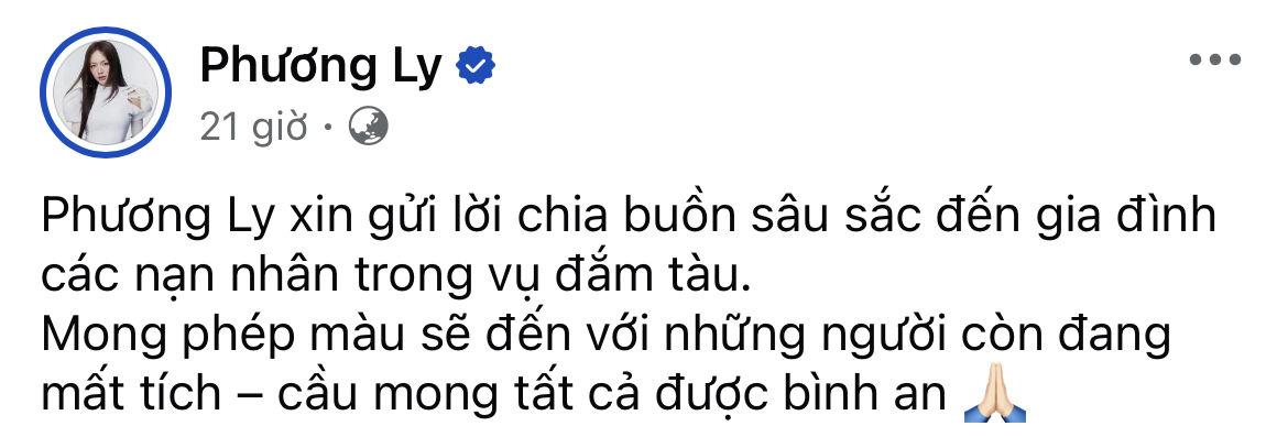 Dàn sao Việt gửi lời xin lỗi, chủ động hoãn sự kiện - cả showbiz lặng người xót xa khi nghe tin vụ lật tàu ở Hạ Long- Ảnh 5.