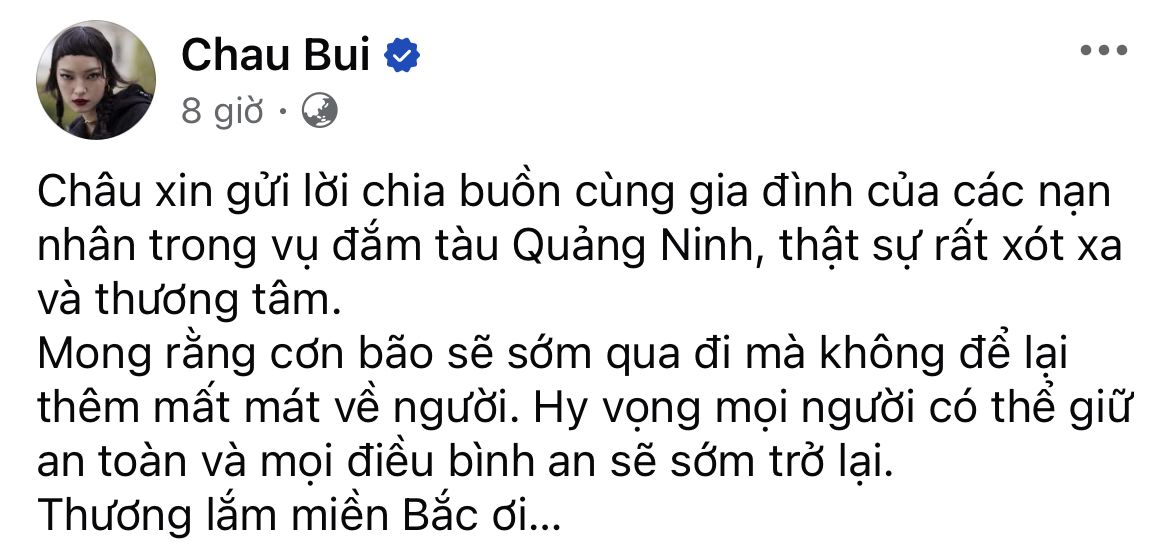 Dàn sao Việt gửi lời xin lỗi, chủ động hoãn sự kiện - cả showbiz lặng người xót xa khi nghe tin vụ lật tàu ở Hạ Long- Ảnh 7.