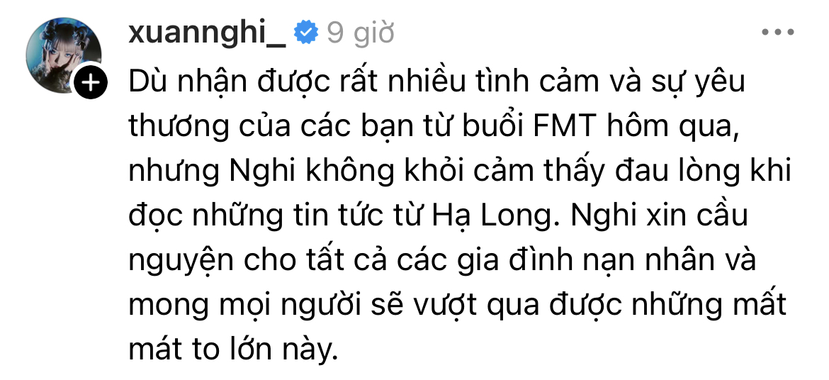 Dàn sao Việt gửi lời xin lỗi, chủ động hoãn sự kiện - cả showbiz lặng người xót xa khi nghe tin vụ lật tàu ở Hạ Long- Ảnh 9.