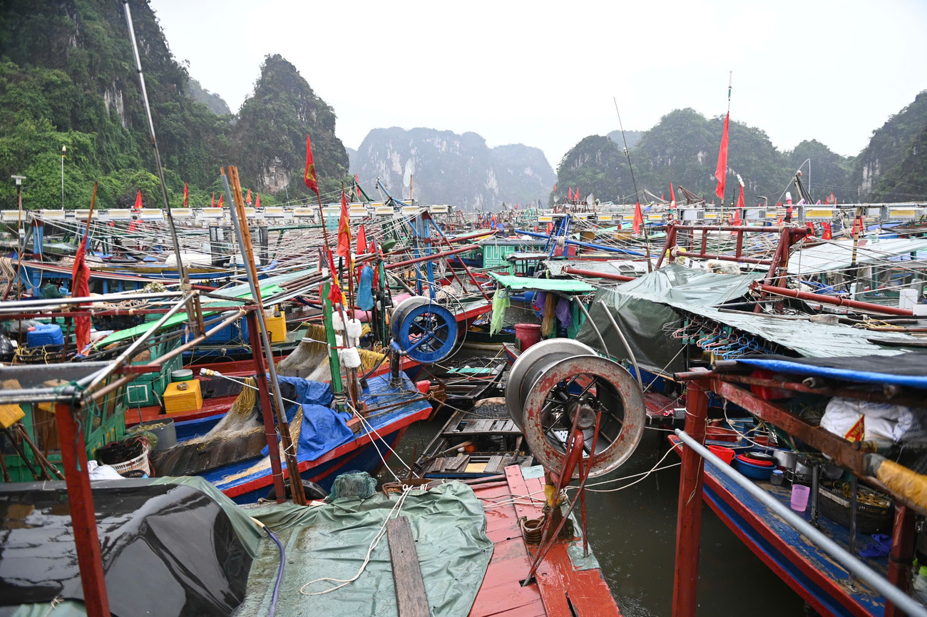 Bão số 3 áp sát: Quảng Ninh di dời gần 10.000 người, đưa 14.000 du khách về bờ- Ảnh 1.