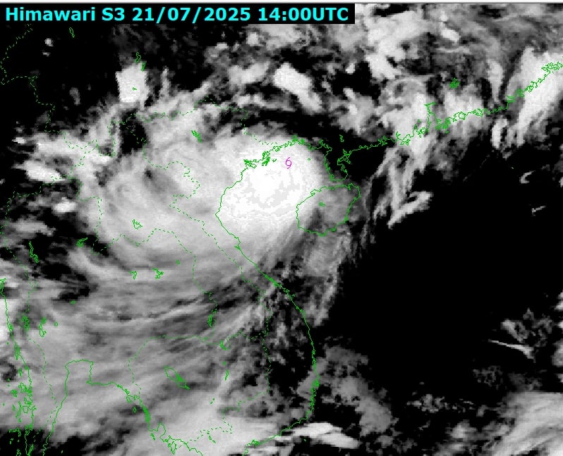 tn0330png-1753114015797-17531140160421678875021.jpg