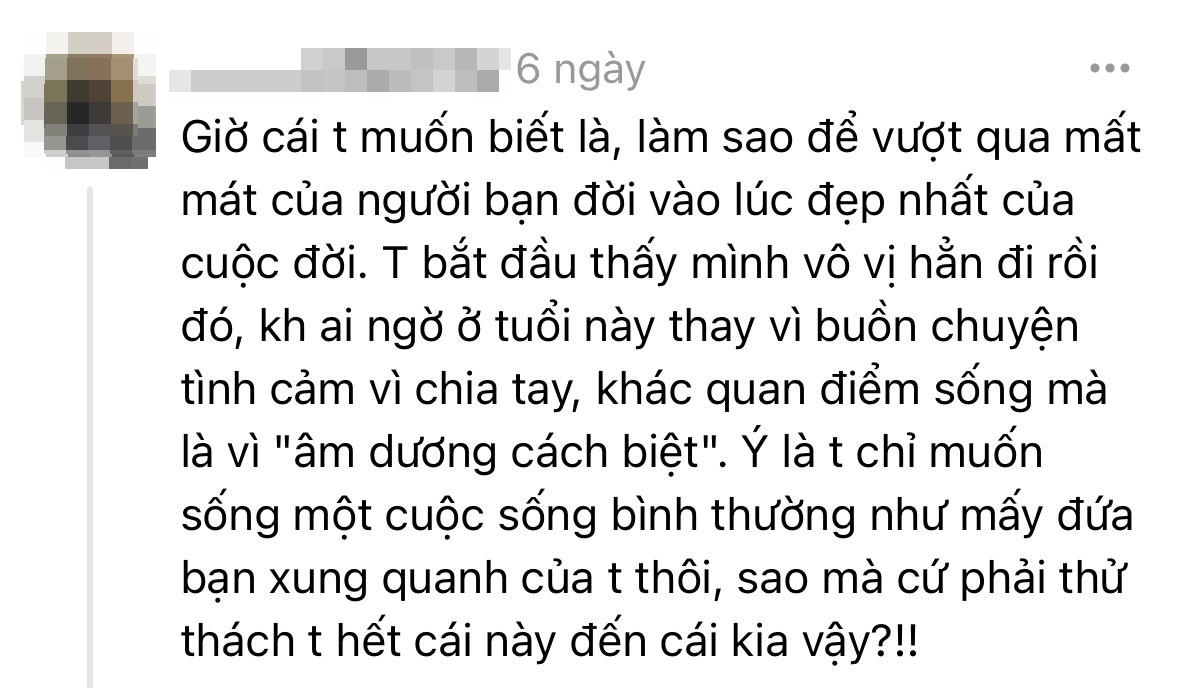 Chia sẻ nặng lòng của bạn gái, vợ sắp cưới của cặp song sinh qua đời tại Đức khi chứng kiến toàn bộ bi kịch- Ảnh 3.