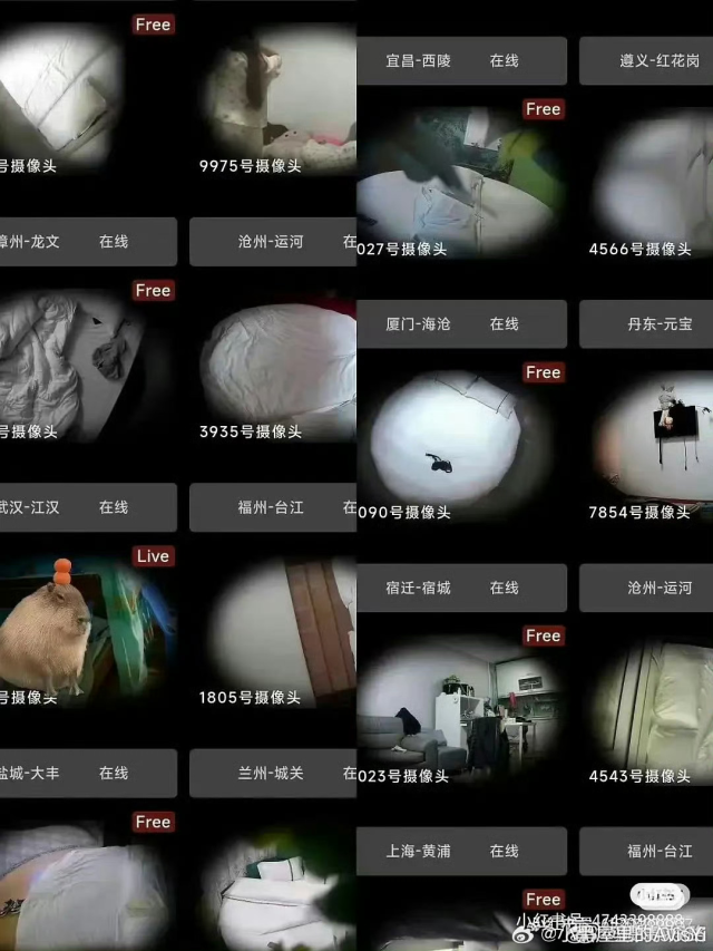 “Phòng chat thứ N” Trung Quốc bị phanh phui: Rùng mình trước loạt video bị quay lén, số lượng thành viên gây sốc- Ảnh 1.
