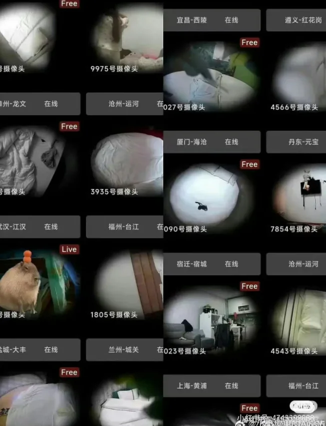 25-1753446284-phanh-phui-phong-chat-thu-n-hon-200000-nguoi-cac-thanh-vien-san-sang-tung-clip-nong-cua-vo-xam-hai-con-gai-ruot-de-thoa-man-cong-dong-ban.webp