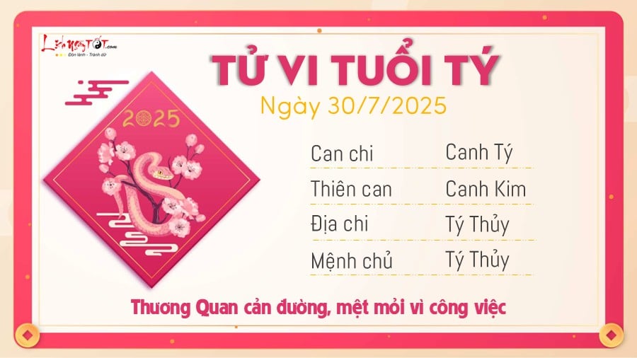 tu-vi-hang-ngay-30-7-2025-ty.jfif