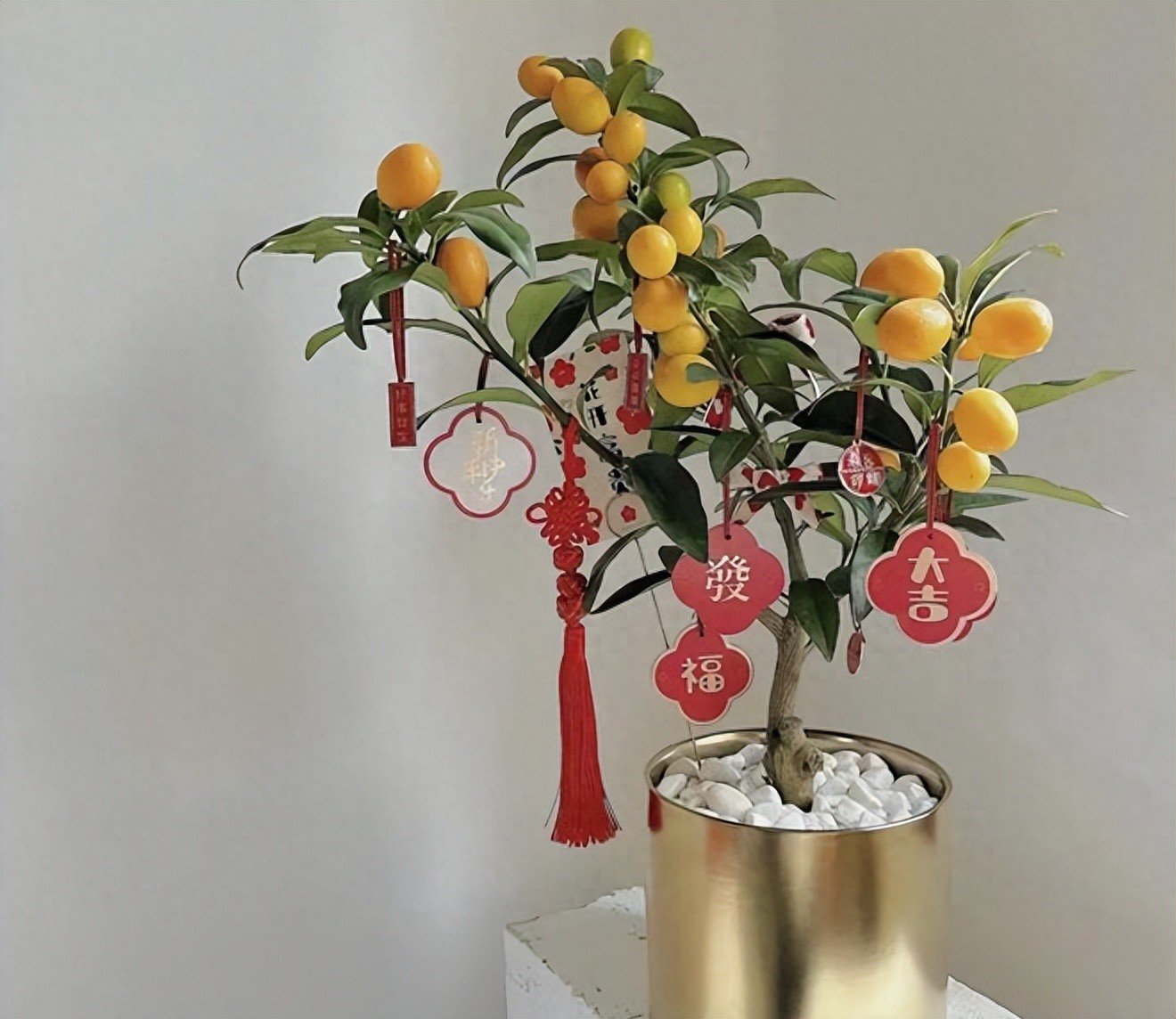 5 loại cây bonsai sinh lời cao: Vừa làm cảnh vừa ăn được, càng trồng càng thu hút tài lộc - Ảnh 1.