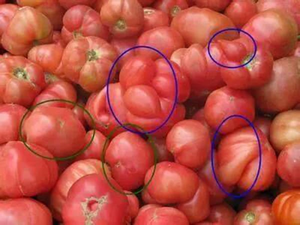 3 loại rau quả 