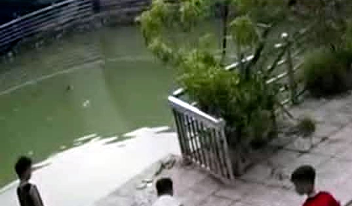 Untitled 1 copy.png