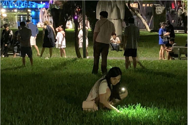 Vụ du khách treo thưởng nhờ người dân tìm nhẫn kim cương: Thuê thiết bị dò kim loại để tìm, tình hình hiện ra sao? - Ảnh 1.