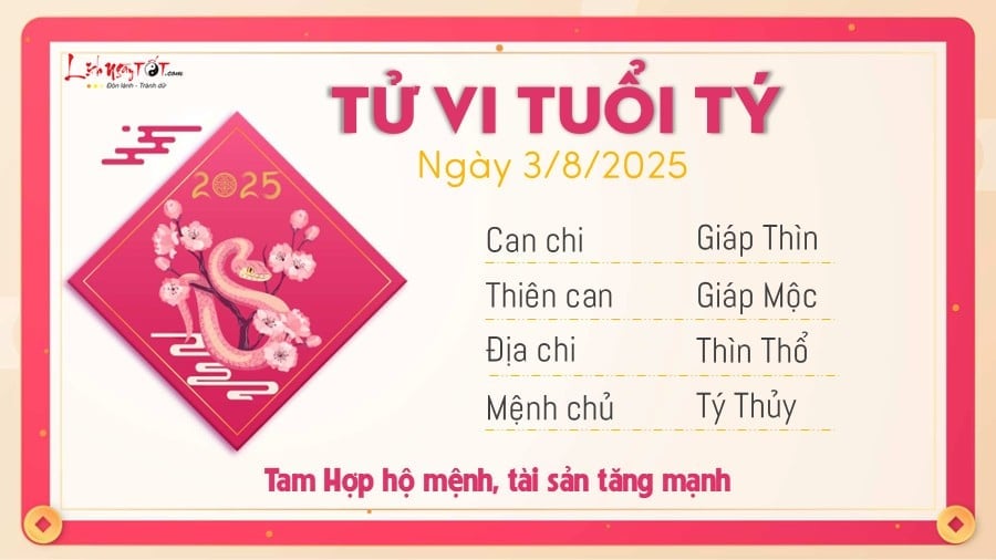 Tu vi hang ngay 3/8/2025 - Ty