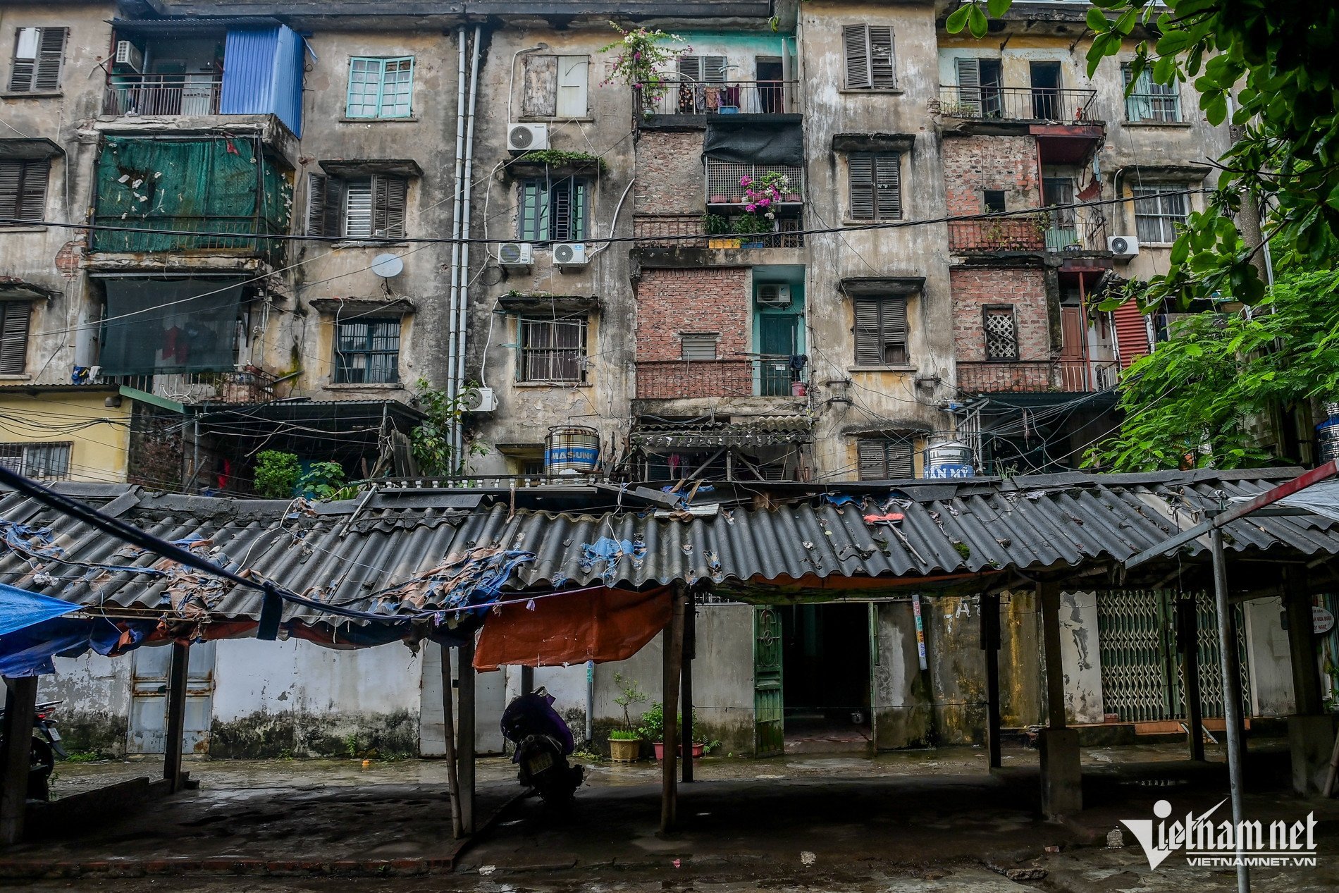 W-Quât Lâm ngập_10.jpg