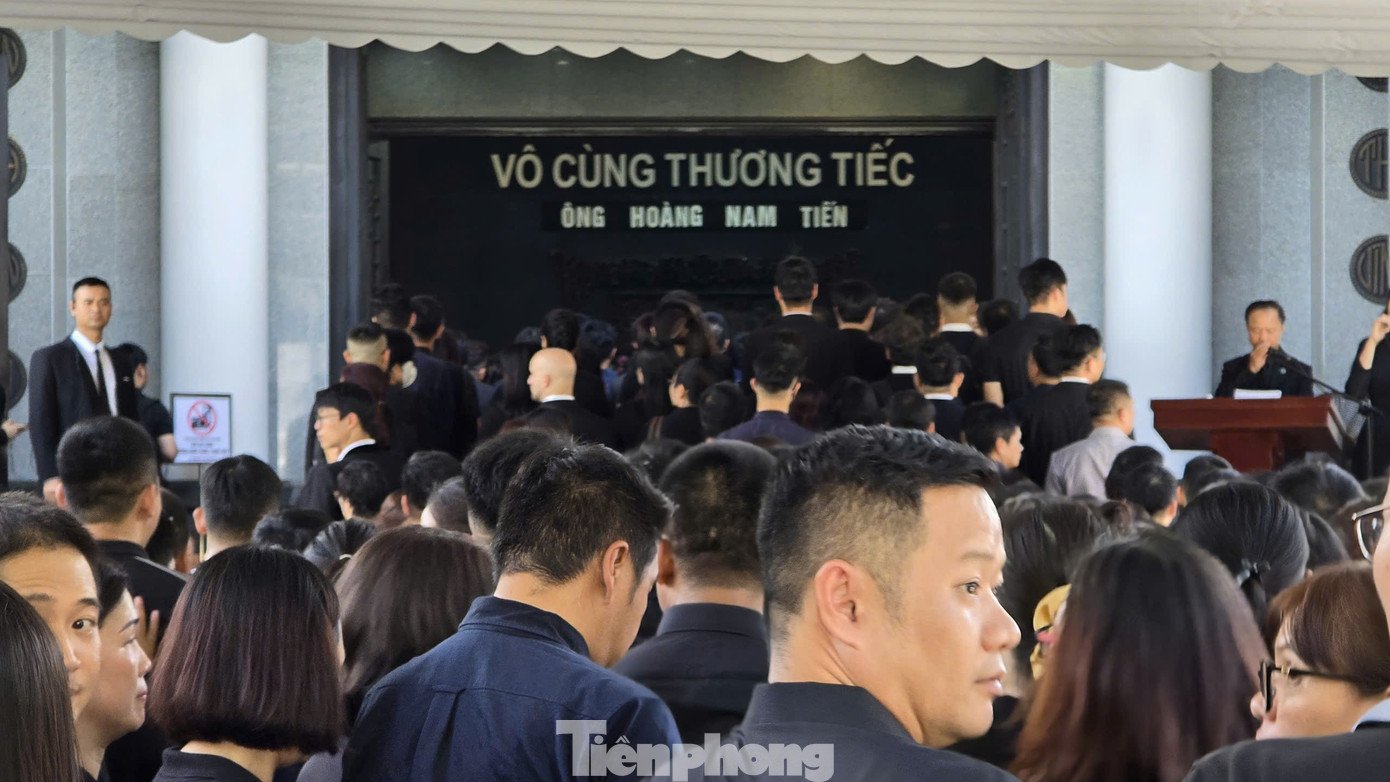 tp-4.jpg