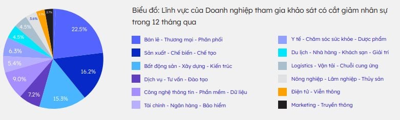 Lần đầu tiên FPT giảm hàng trăm nhân sự, 10 cái tên cắt giảm nhiều nhất có tới 6 ngân hàng: Chuyện gì đang xảy ra?- Ảnh 4.