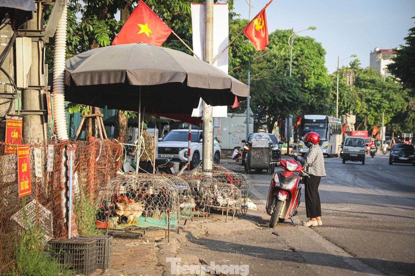 Chợ cóc át chợ chính tại Hà Nội, giao thông ùn tắc- Ảnh 12.