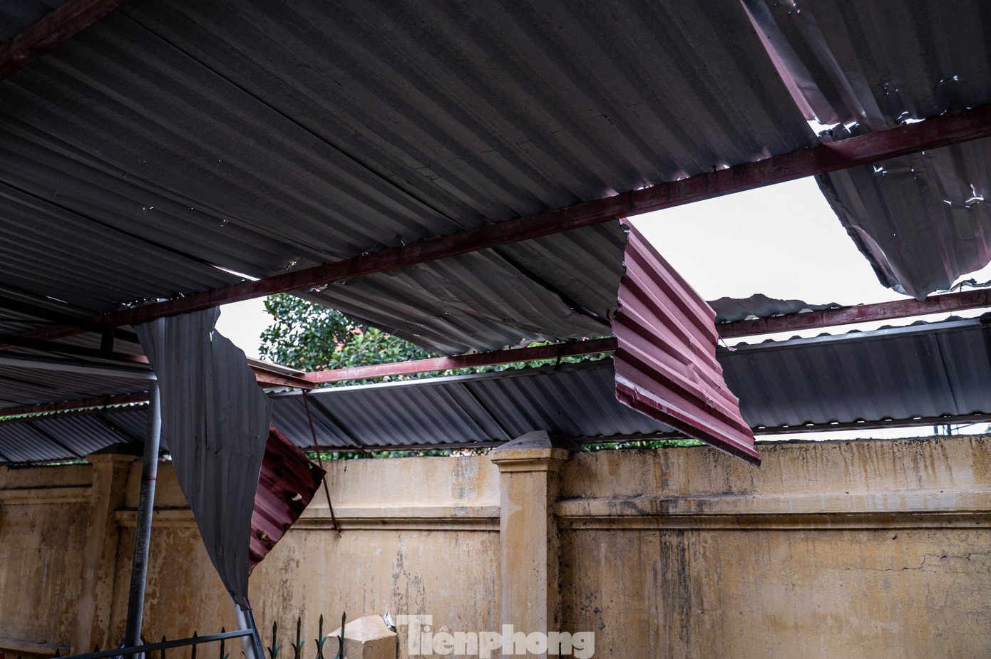 tp-quocnam-z62-7154.jpg