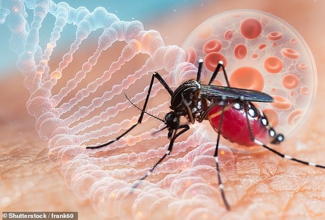 Trung Quốc khôi phục biện pháp thời Covid-19 để chống dịch Chikungunya, Mỹ khuyến cáo du khách 