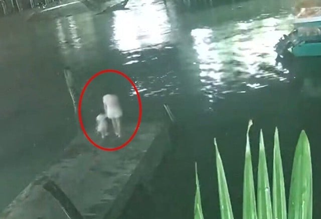 Mẹ dắt con gái ra cầu tàu rồi nhảy xuống biển, để lại di thư khiến ai cũng nghẹn ngào- Ảnh 2.