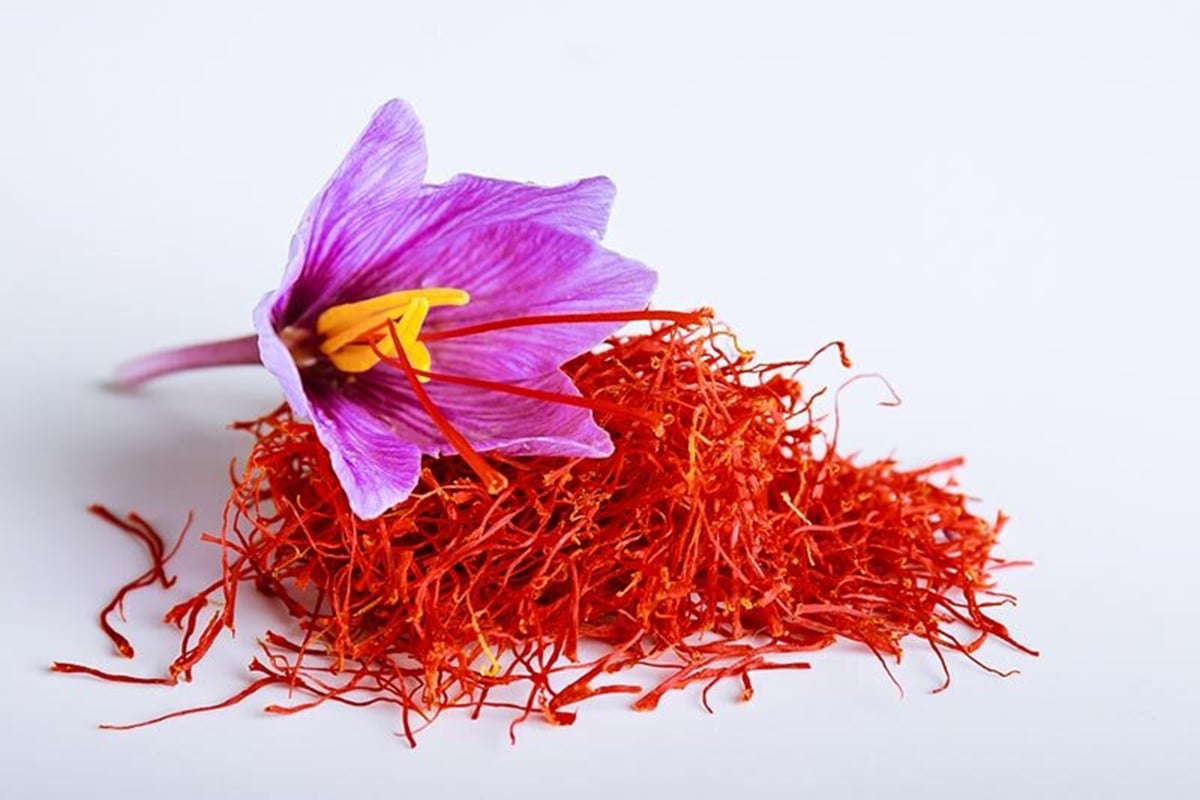 Loại cây đắt đỏ bậc nhất thế giới, giá gần 300 triệu đồng/kg, ở Việt Nam có người trồng thành công- Ảnh 2.