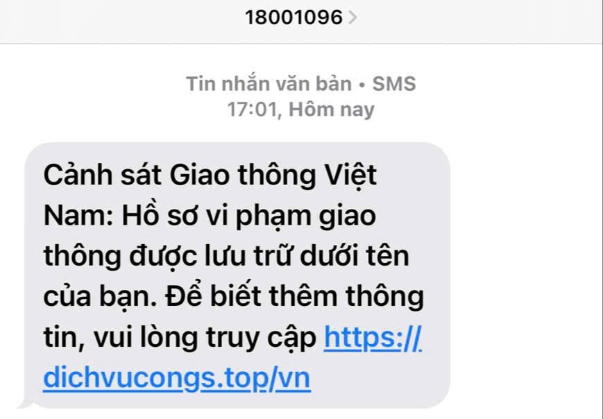 Cảnh giác chiêu lừa đảo nộp phạt giao thông qua Cổng Dịch vụ công Quốc gia giả - Ảnh 1.