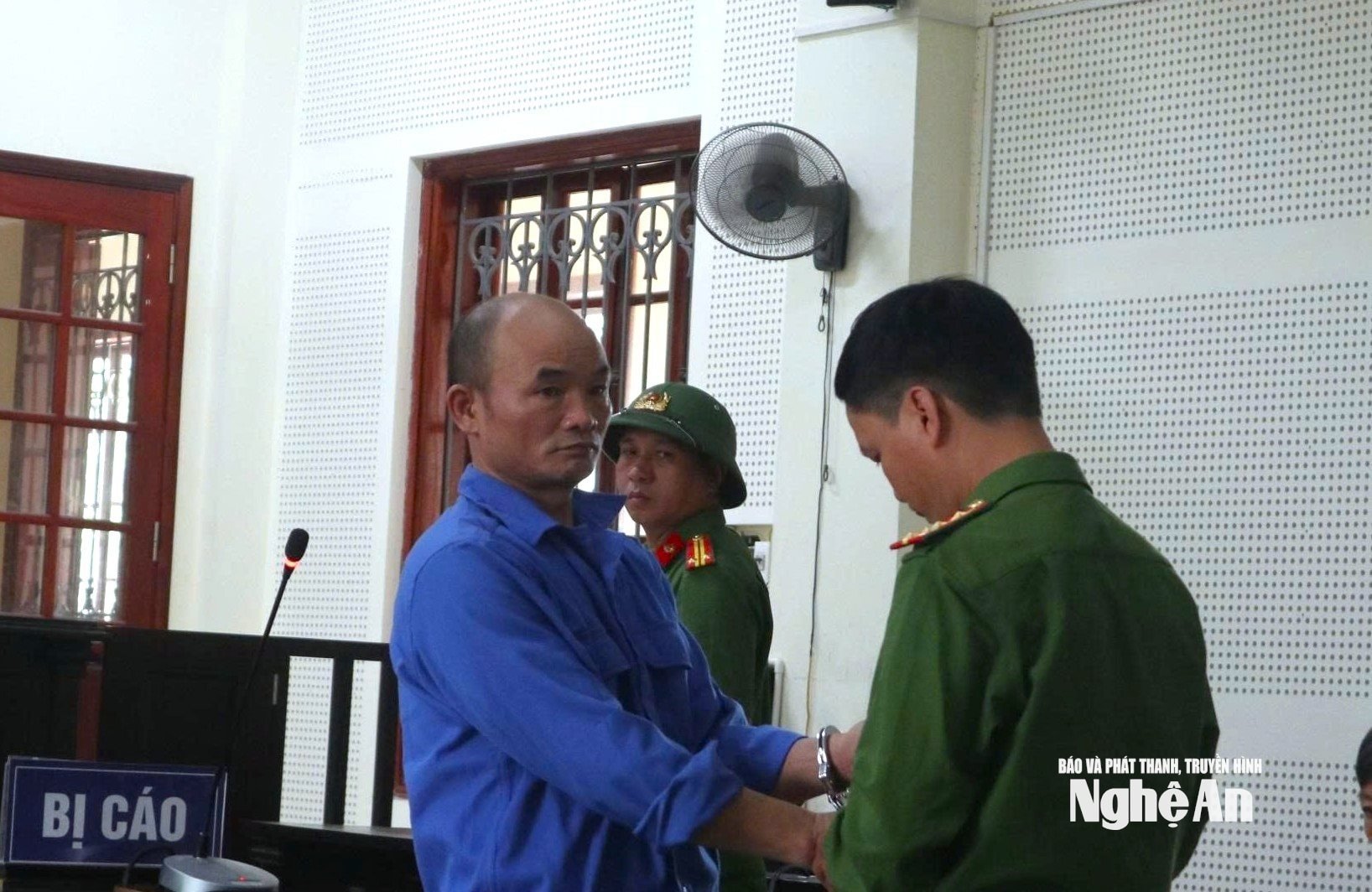 12.ảnh pv