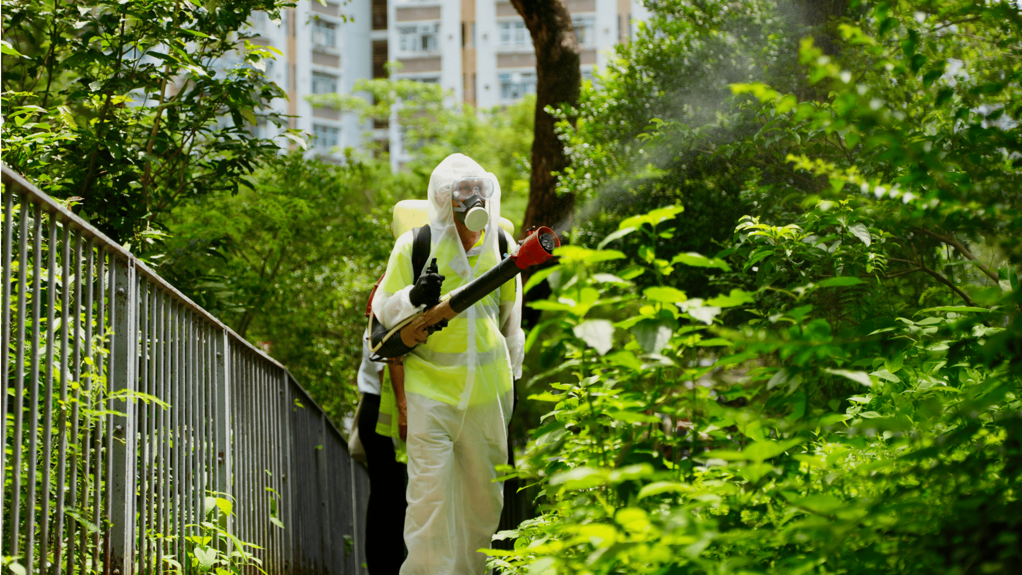 Trung Quốc tăng cường phòng chống Chikungunya - Ảnh 1.