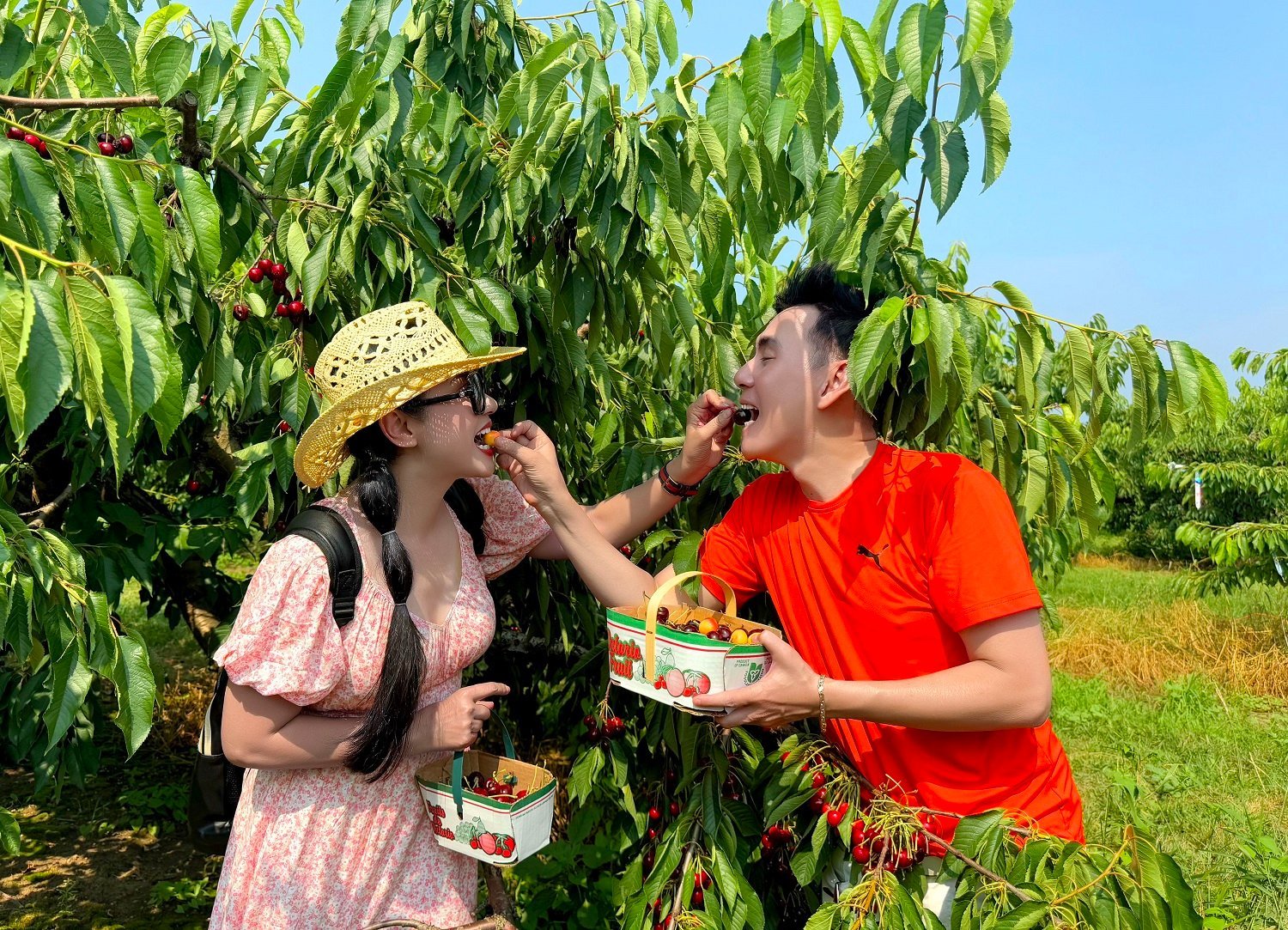 Việt Trinh đi du lịch 16 ngày cùng nam ca sĩ ở nhà hơn 2.000 cây vàng, 2 lần đổ vỡ hôn nhân- Ảnh 2.