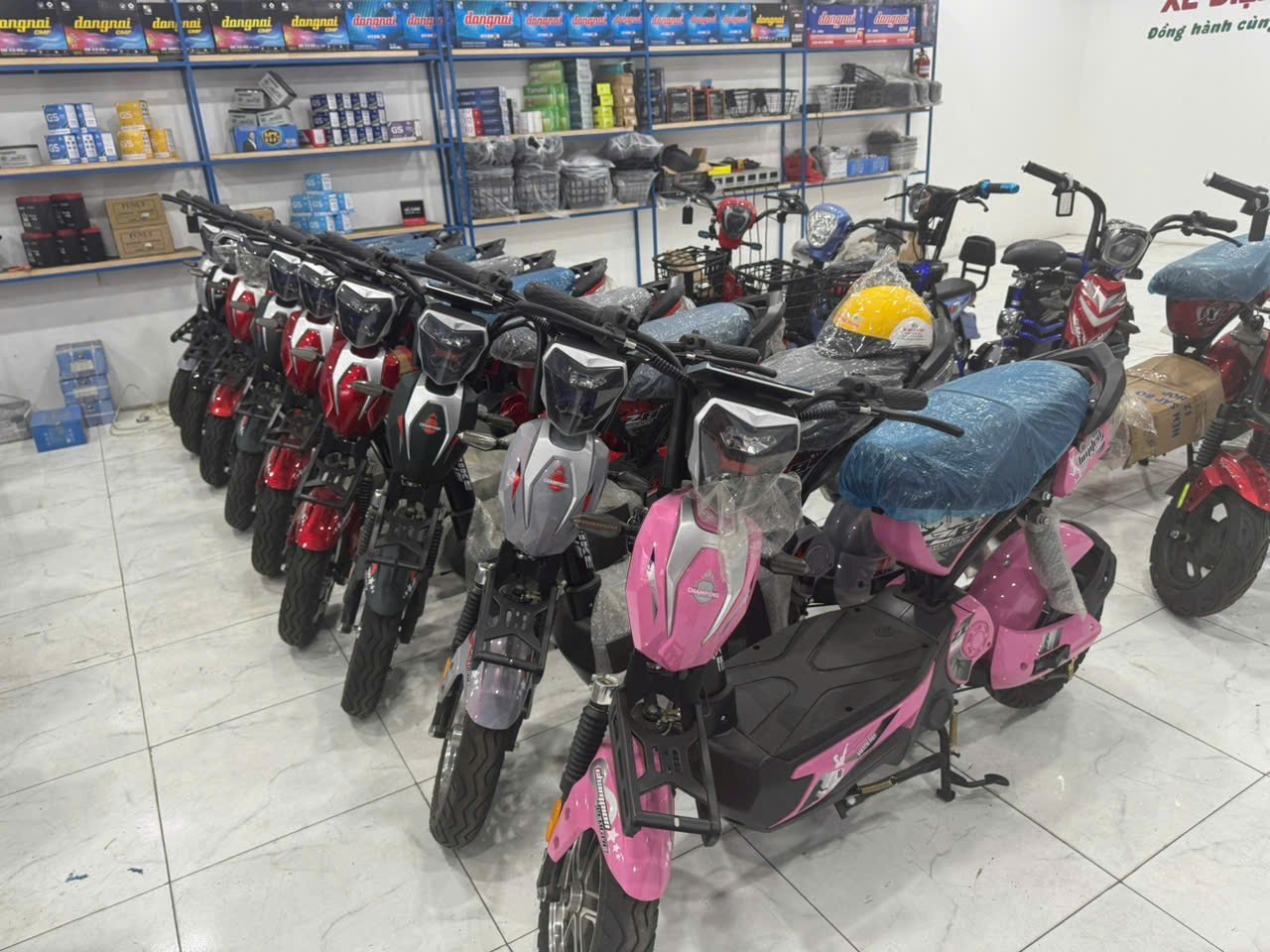Xe máy điện giả, kém chất lượng tái xuất: Cẩn trọng trước cơn sốt chuyển đổi xe xăng- Ảnh 2.