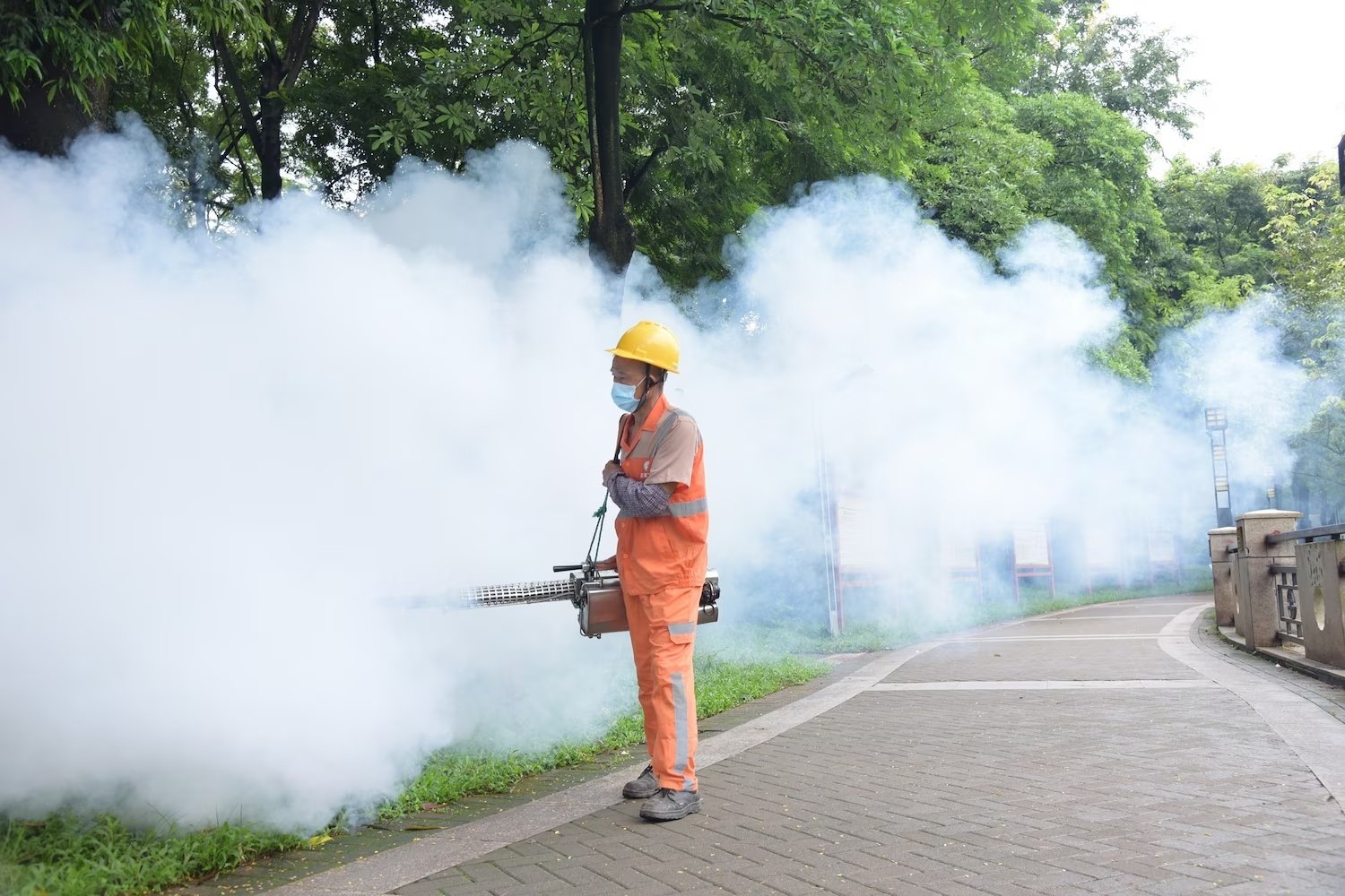 dich benh Chikungunya anh 3