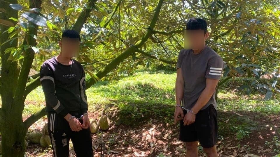 tam giu 2 doi tuong o Dong nai cat trom khoang 3 ta sau rieng hinh anh 1