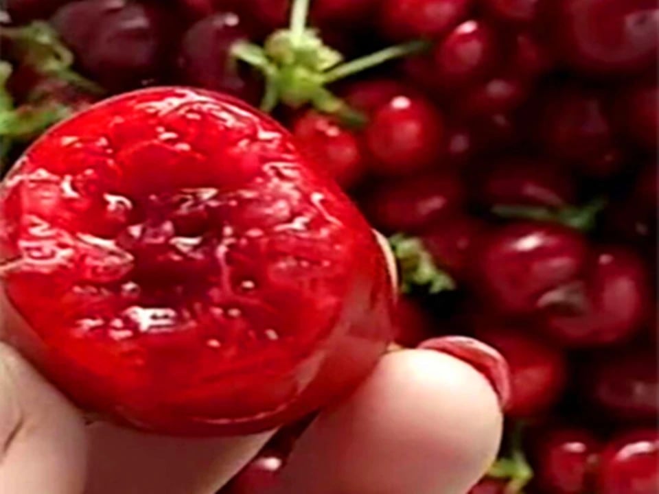 6 loại trái cây chứa nhiều ký sinh trùng nhất mùa hè, ăn nhiều chẳng khác nào nuốt 