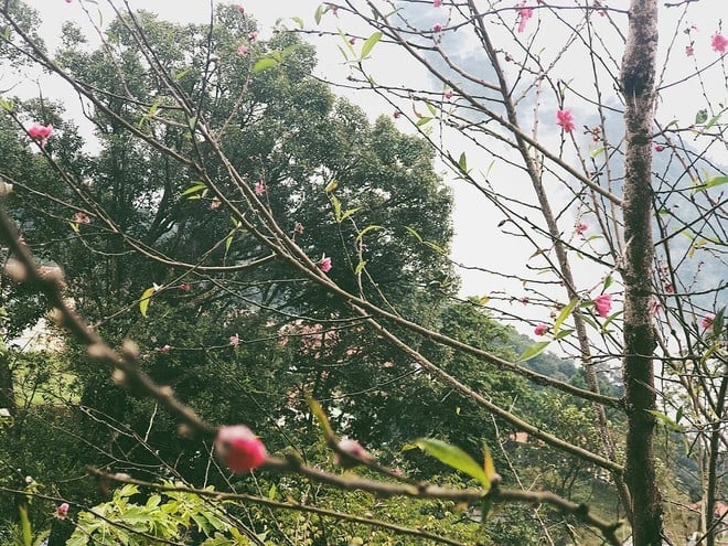 "Miền đất hứa" của Hoàng Thuỳ Linh - Đen Vâu: Biệt thự sân vườn, view hướng đồi, thích hợp gia đình 4 người nghỉ dưỡng! - Ảnh 3.