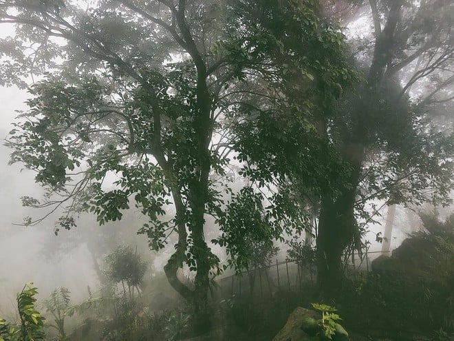 "Miền đất hứa" của Hoàng Thuỳ Linh - Đen Vâu: Biệt thự sân vườn, view hướng đồi, thích hợp gia đình 4 người nghỉ dưỡng! - Ảnh 4.
