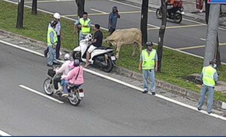 z6909716102779_d7bb2b73c563525d94814629ab7eec74.jpg