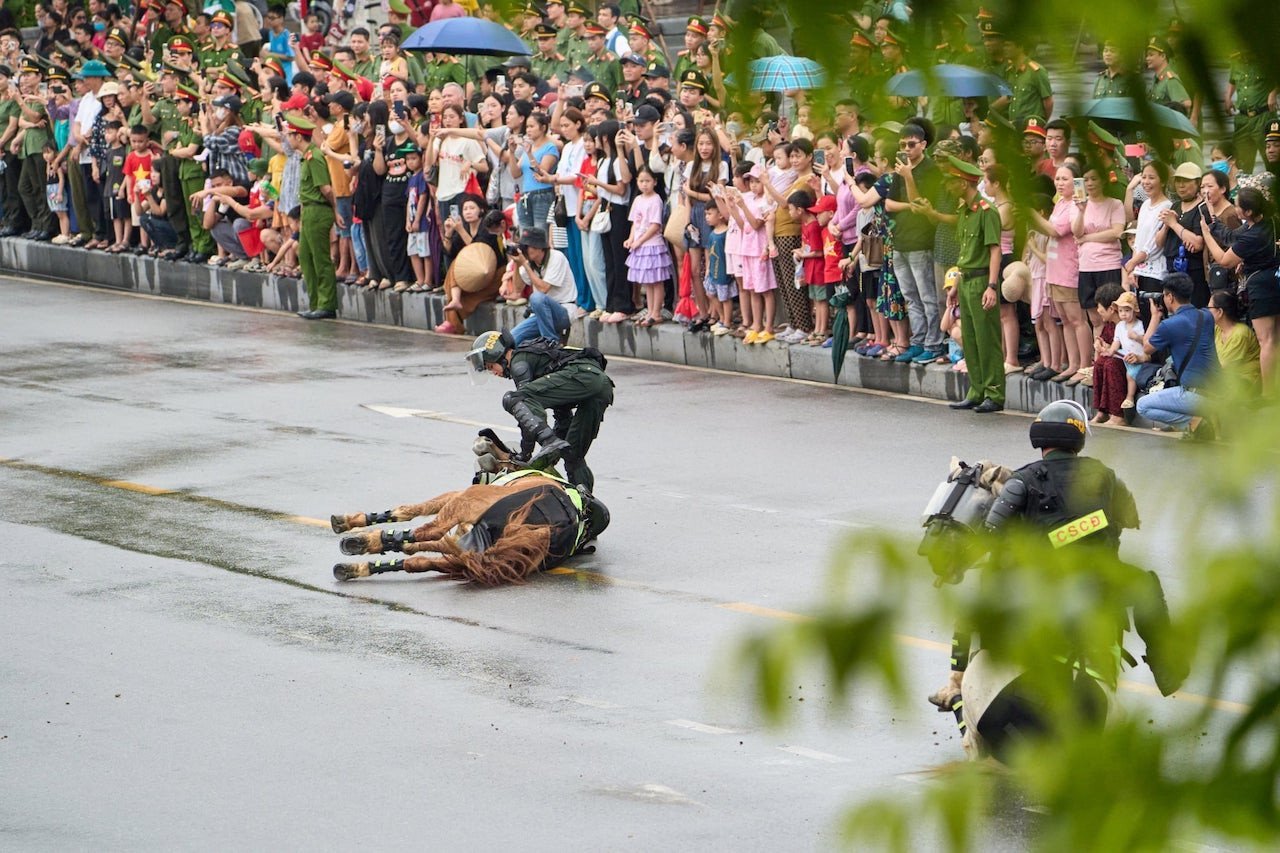 Ngựa k02 2.jpeg