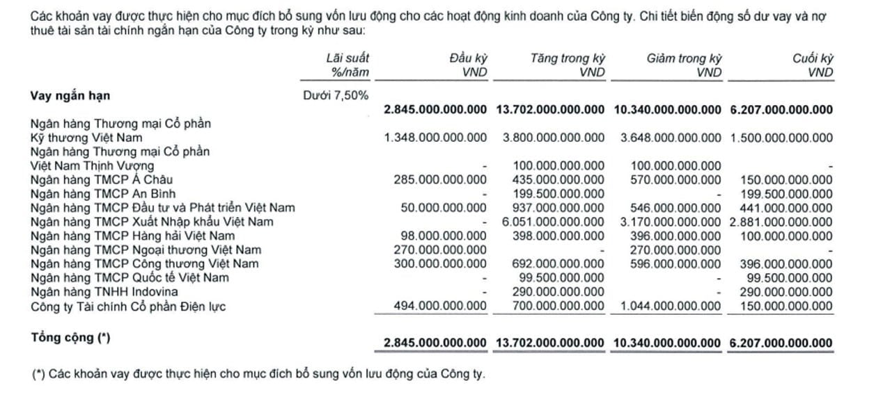 EVNFinance VIXvay2025H1.jpg
