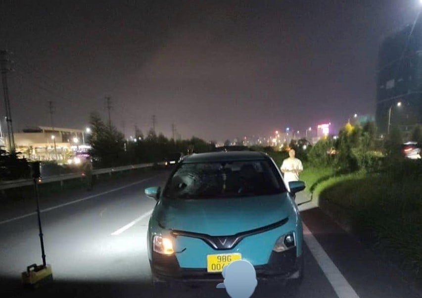 Đi bộ qua cao tốc, người đàn ông bị xe taxi tông tử vong- Ảnh 1.