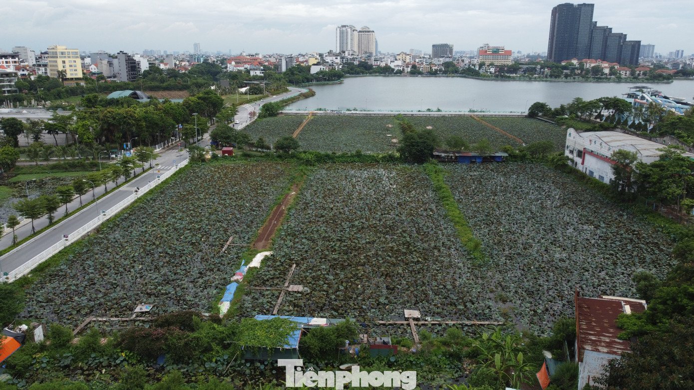 tp-0705.jpg