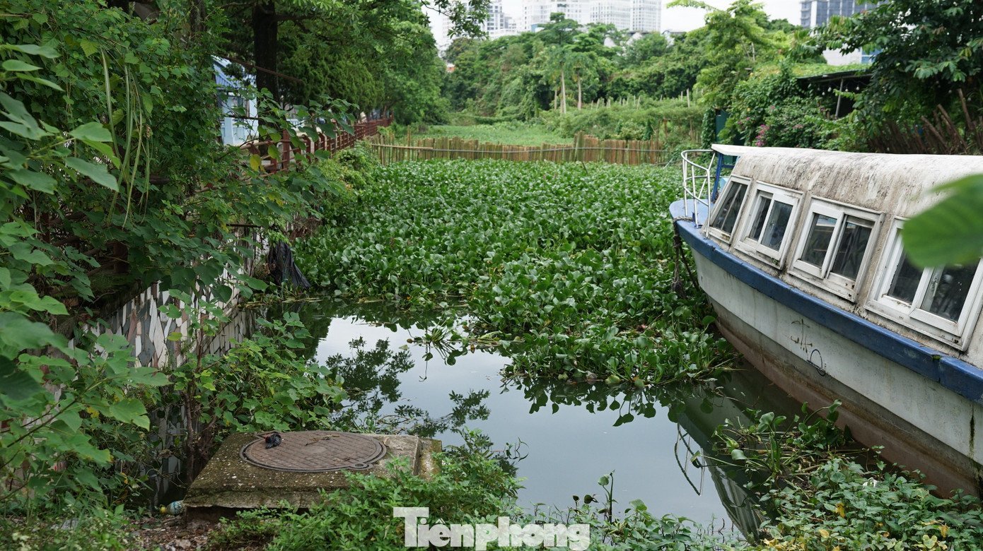 tp-02604.jpg