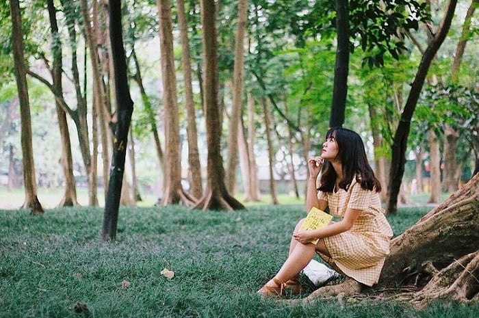 Tuyến buýt điện đặc biệt mới khai trương của tỷ phú Phạm Nhật Vượng sẽ miễn phí chở người dân tới những điểm du lịch nào?- Ảnh 5.