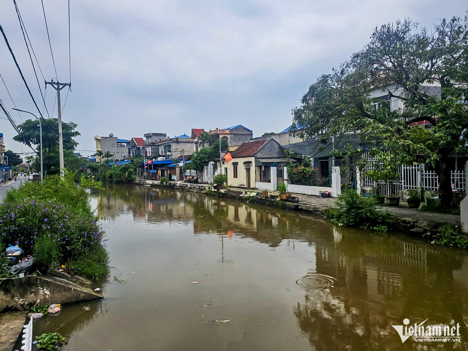 W-cổ chất.jpg