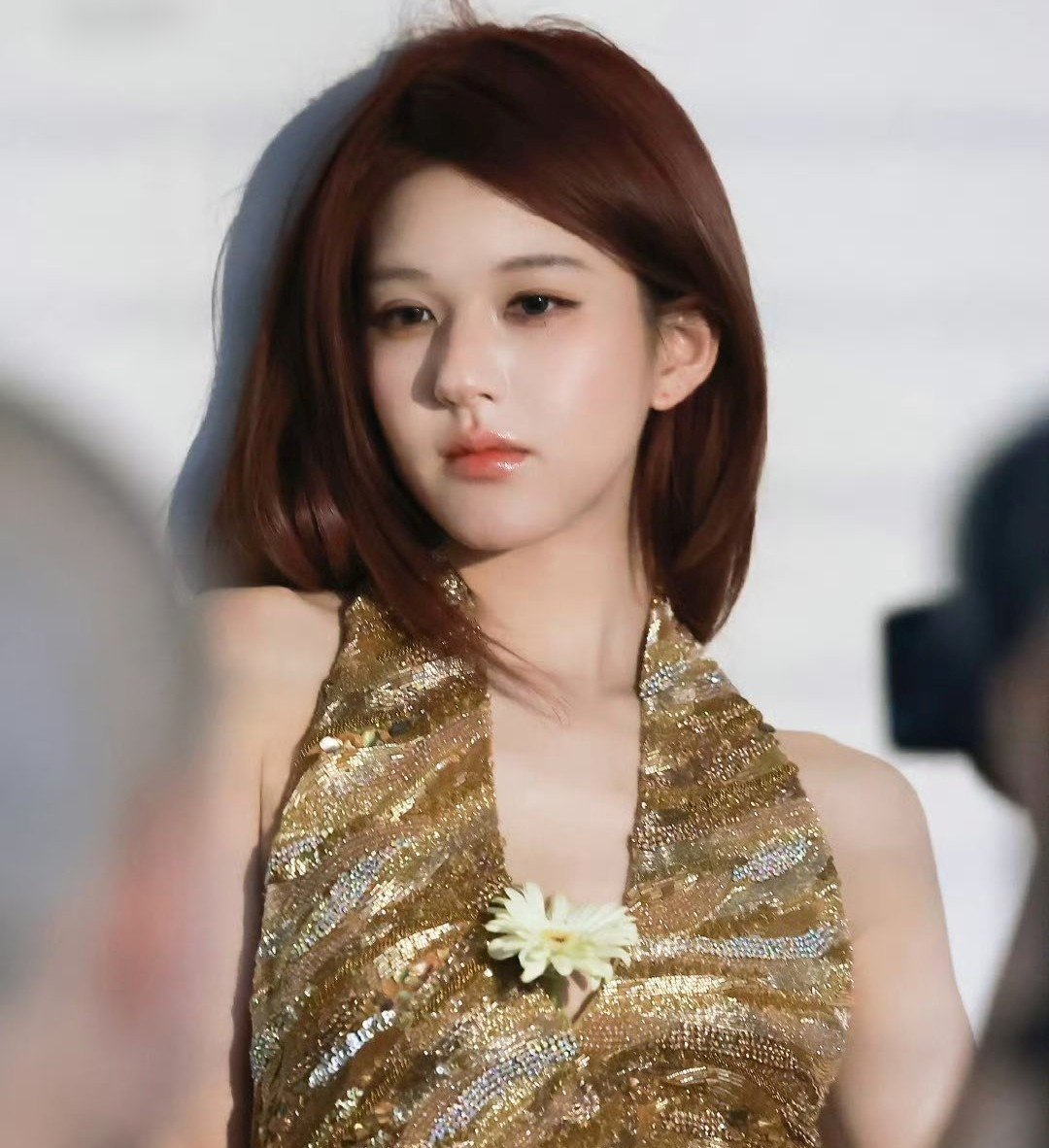 trieu-lo-tu6.jpg