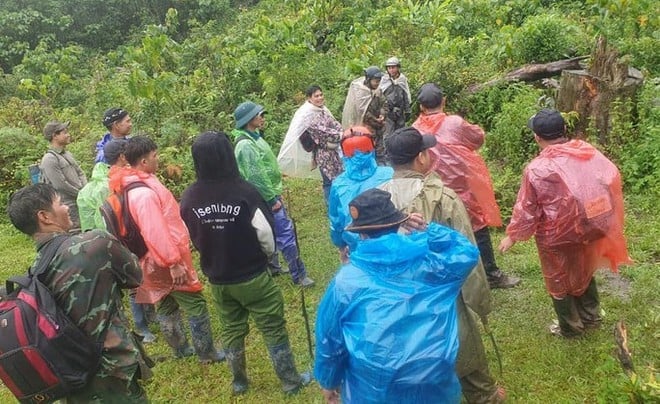 Từ vụ nam du khách tử vong ở Cúc Phương: Nhìn lại hàng loạt câu chuyện sinh tồn nghẹt thở trong rừng già tại Việt Nam từng khiến dư luận xôn xao- Ảnh 8.