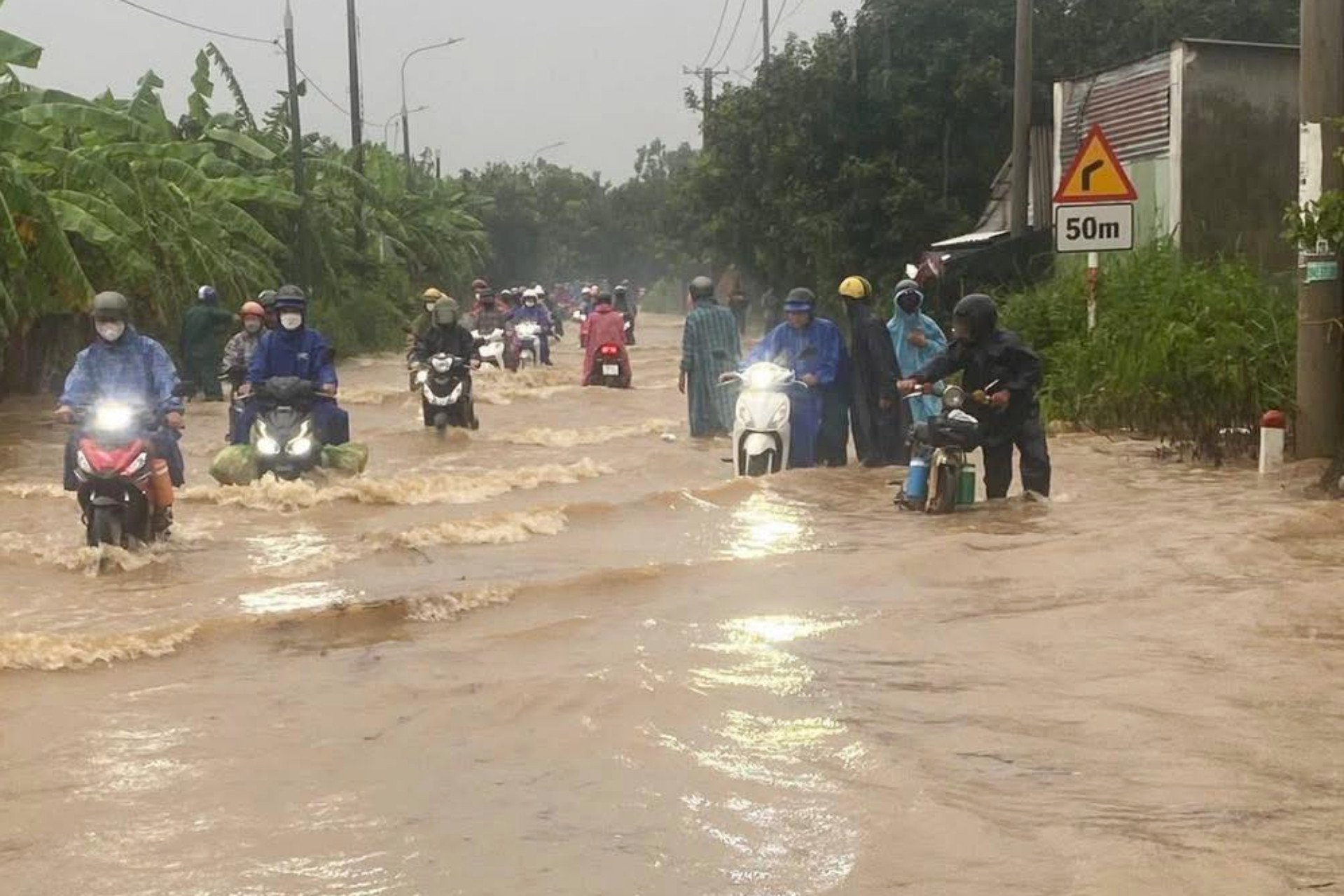 ngap dong nai (1).jpg