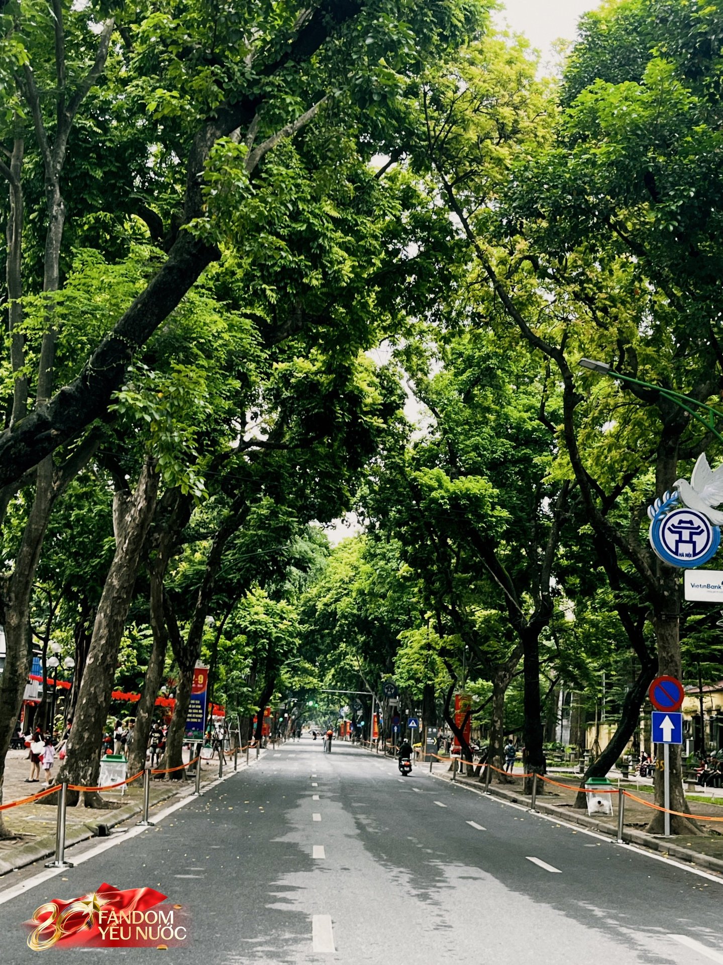 Tôi đi bộ 10.000 bước, len lỏi 9 tiếng trên phố ngày Tổng hợp luyện đầu tiên ở Hà Nội và thấy những điều “không chiếu trên TV”- Ảnh 4.