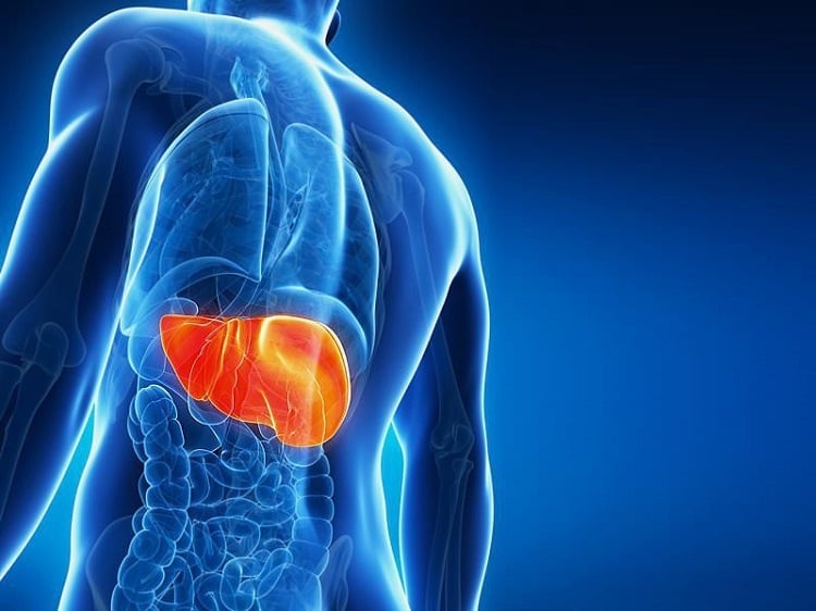 2 dấu hiệu ngứa ngáy cảnh báo UNG THƯ GAN nhưng nhiều người NHẦM là dị ứng - Ảnh 3.